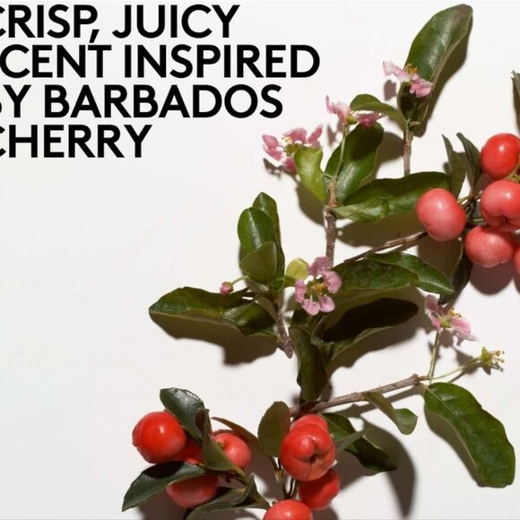 Fenty Skin Cherry Dub Triple Action AHA Body Scrub - Picture 12 of 13